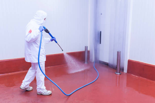 Best Dumpster Area Cleaning  in Lake Andes, SD
